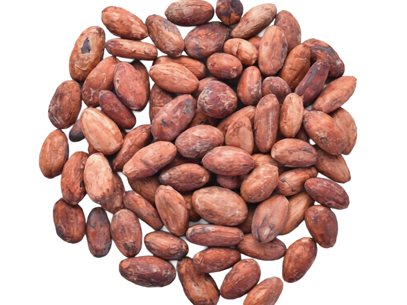 Premium Amelonado cocoa beans for export from Cameroon