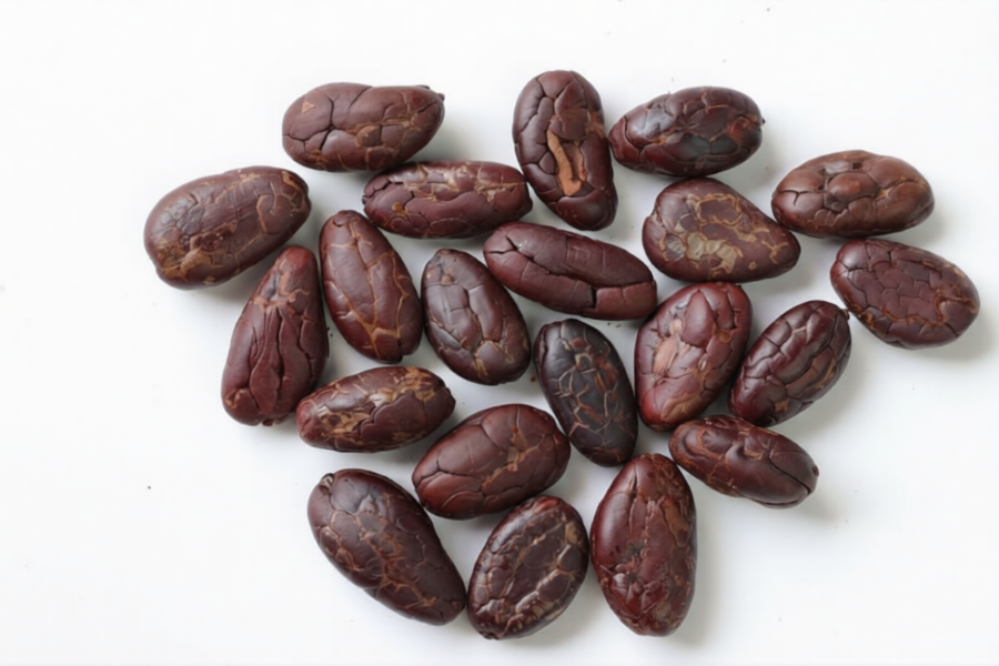 Cacao Bresilien beans available for international cocoa buyers