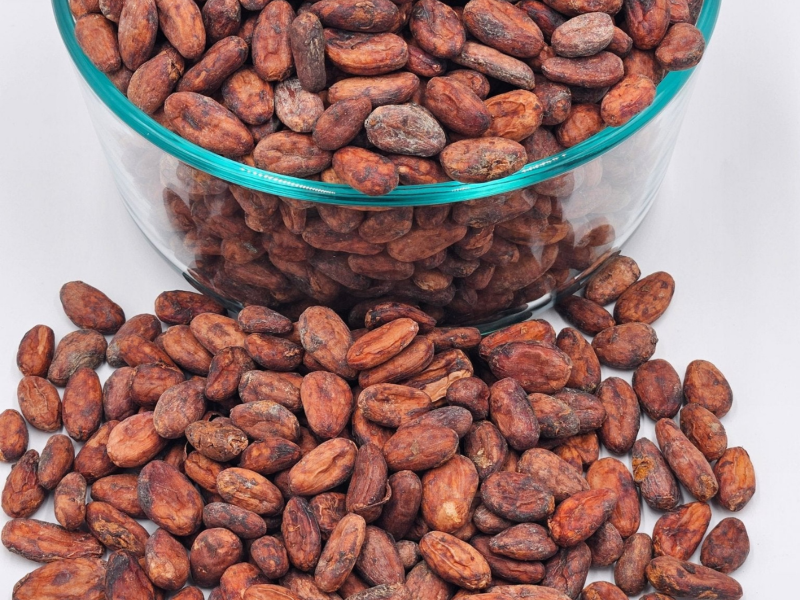 Specialty Cundeamor Cocoa Beans