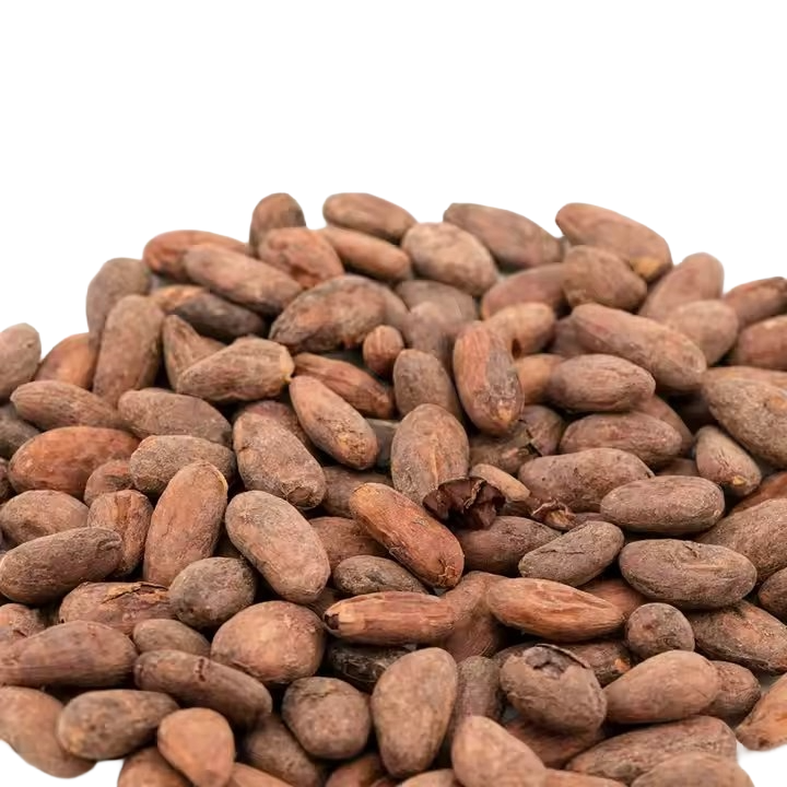 Export-grade Forastero cocoa beans from Cameroon