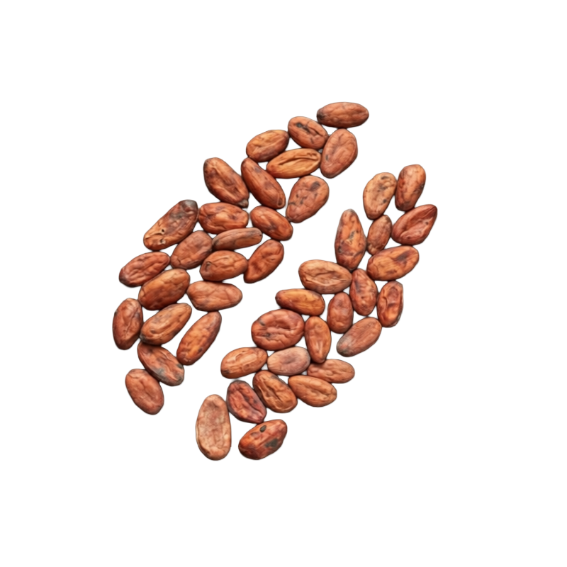 Premium Trinitario cocoa beans from Cameroon for export