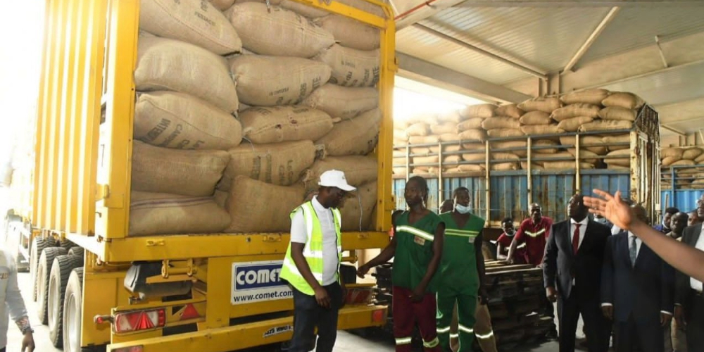 COCOABRIDGE Ltd