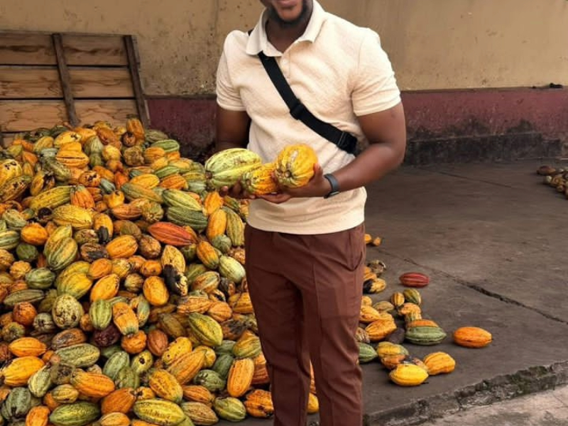 Organic and Sustainable Cocoa