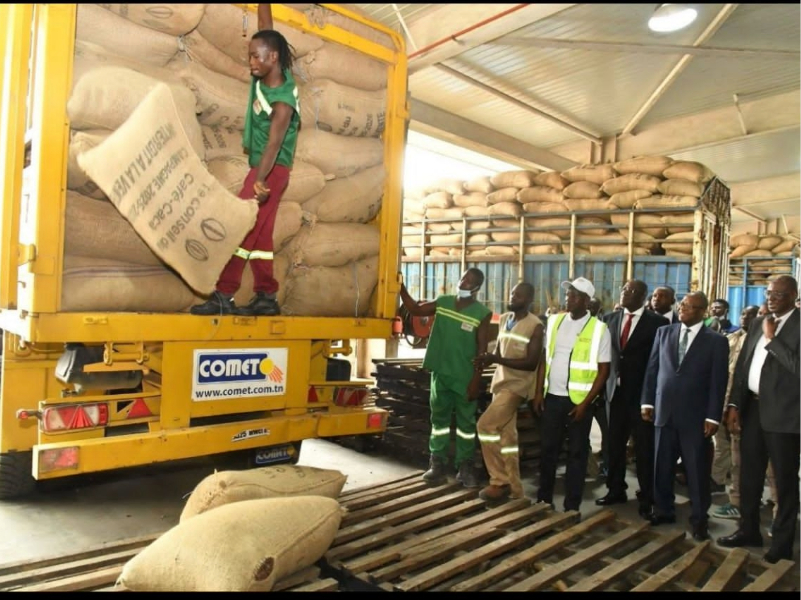 Bulk Cocoa Supplies