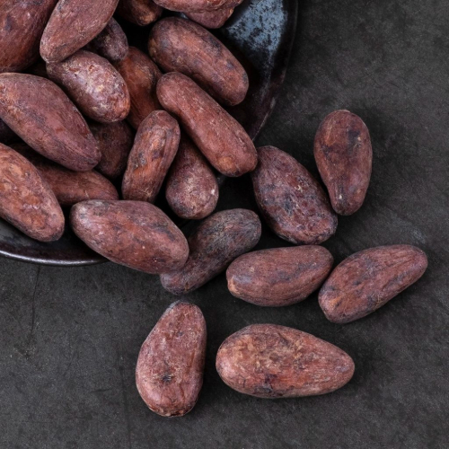 Sample cocoa beans prepared for qualified buyer review