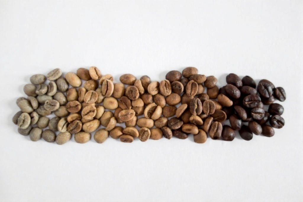 Cameroon Robusta Coffee Beans