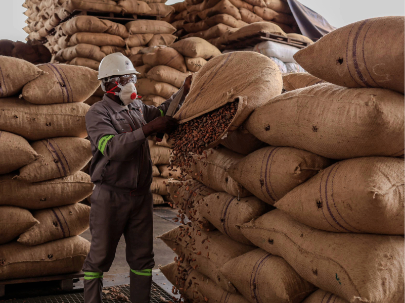 Global Cocoa Trade Excellence