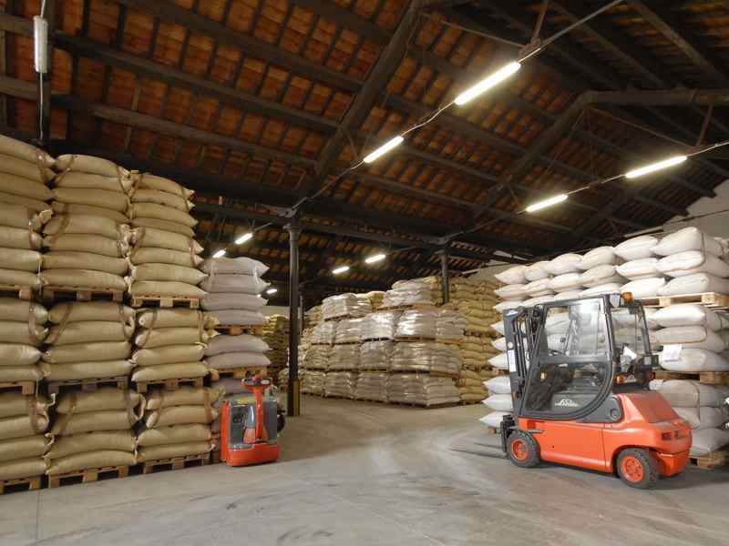 Professional Cocoa Export Services