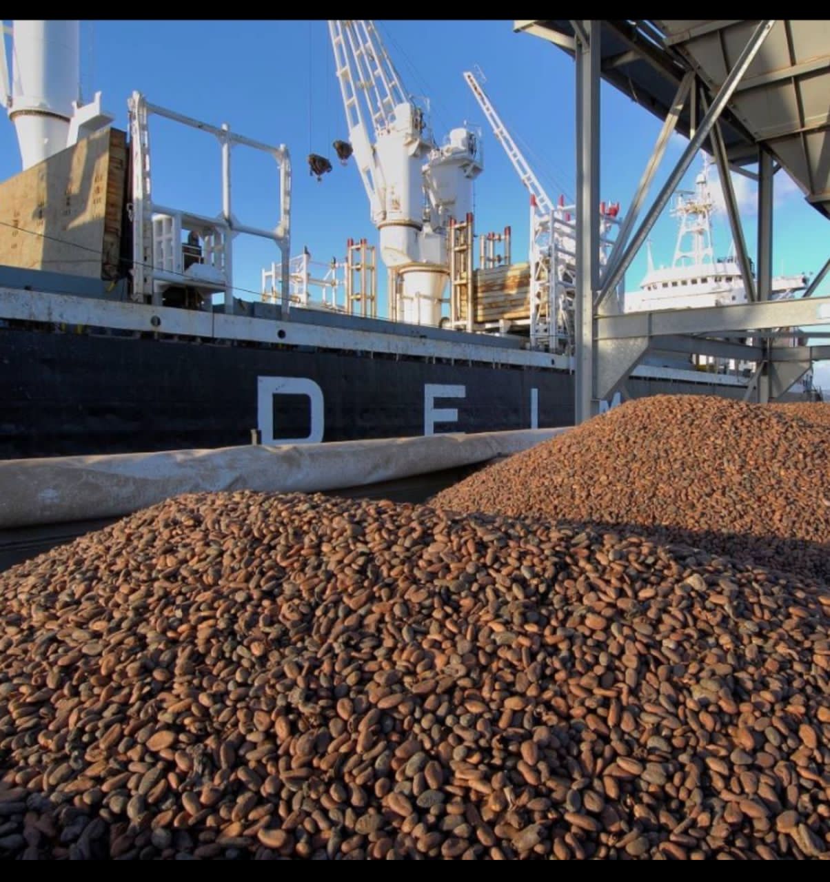 Export shipment and dispatch documentation